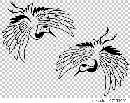 飛んでいる鶴の線画イラストのイラスト素材