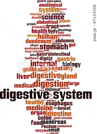Digestive system word cloud Digestive system word cloud 67154209