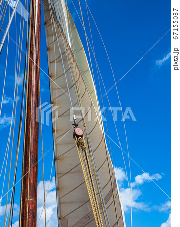 Detail of a indjammer on the Hanse Sail in 67155037