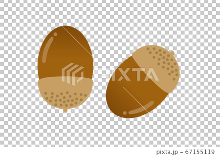 金秋時節橡子圖 金秋時節橡子圖 67155119