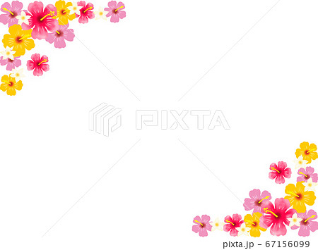 ハイビスカスとプルメリア三角フレーム ハイビスカスとプルメリア三角フレーム 67156099