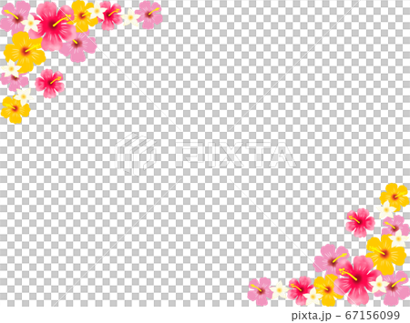 ハイビスカスとプルメリア三角フレーム ハイビスカスとプルメリア三角フレーム 67156099