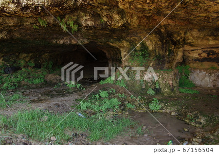 【ヨルダン】アンマン、郊外の岩場にある湿気て草や苔が生えた洞穴 67156504