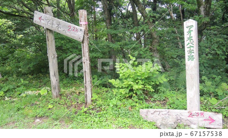 マトネ~金北山コースの登山道中の標識 マトネ~金北山コースの登山道中の標識 67157538