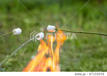 toasted marshmallow on wooden stick 67159356
