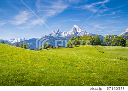 Idyllic landscape in the Alps with fresh green meadows in spring Idyllic landscape in the Alps with fresh green meadows in spring 67160523