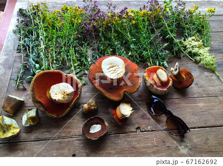 The forest harvest at the autumn. Herbs and mushrooms on the wood table background The forest harvest at the autumn. Herbs and mushrooms on the wood table background 67162692