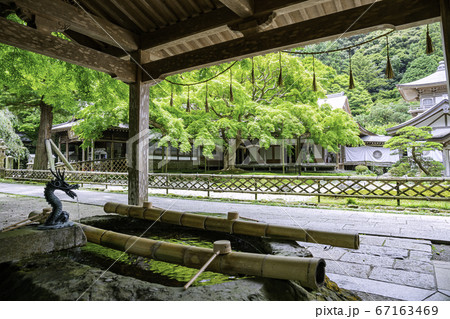 新緑の緑が美しい雷山千如寺大悲王院（福岡県糸島市） 67163469