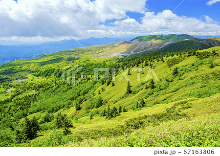 芳ヶ平湿原と草津白根山2 67163806