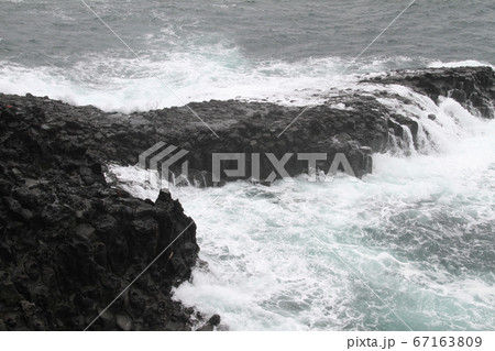 韓国済州島 67163809