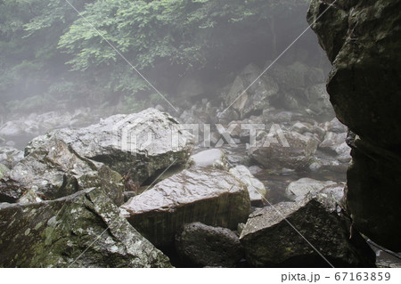 韓国済州島 韓国済州島 67163859