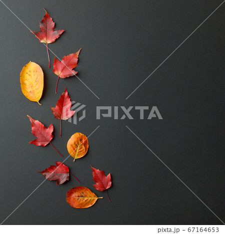 Autum Sale. Discount banner or flyer design 67164653