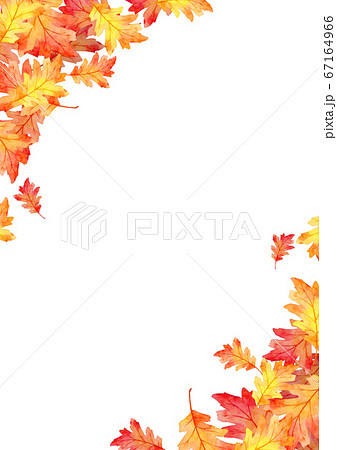 frame of red leaves in autumn concept isolated on white background. Flat lay, top view, copy space. frame of red leaves in autumn concept isolated on white background. Flat lay, top view, copy space. 67164966