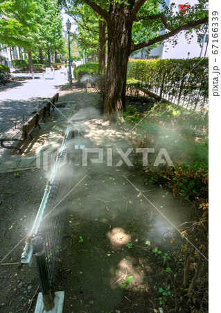 中央区立浜町公園のミストシャワー 中央区立浜町公園のミストシャワー 67166339