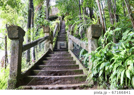 【オーストラリア】　パロネラパーク 67166841