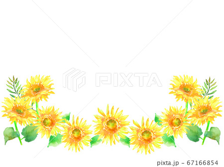 ひまわり 背景 イラスト 水彩 手描きのイラスト素材