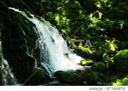 秋田 初夏の鳥海山 苔むす元滝伏流水の清流 秋田 初夏の鳥海山 苔むす元滝伏流水の清流 67166859