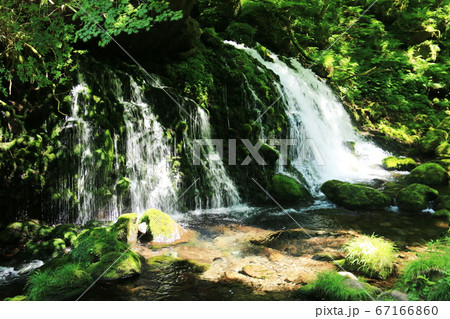 秋田 初夏の鳥海山 苔むす元滝伏流水の清流 秋田 初夏の鳥海山 苔むす元滝伏流水の清流 67166860