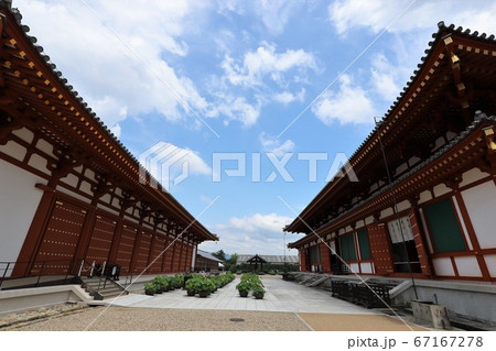 梅雨の晴れ間の薬師寺 67167278