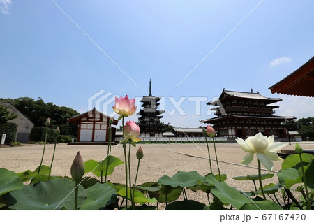 梅雨の晴れ間の薬師寺 67167420