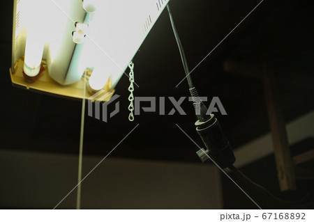 蛍光灯 蛍光灯 67168892