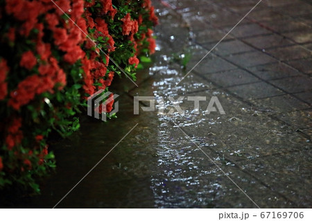 夏 非 水滴 67169706
