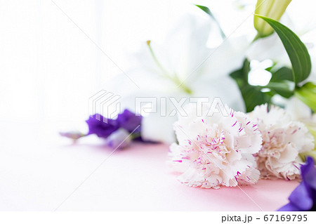 背景用　切り花　百合の花 67169795