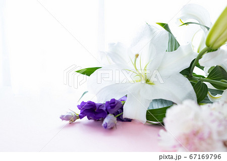 背景用　切り花　百合の花 67169796