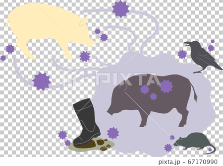 [Pig] Image of infectious disease transmission route --A Image of livestock pig farming infectious disease 67170990