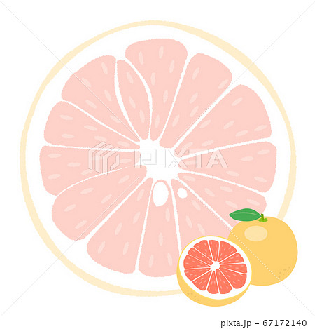 Grapefruit Background Squareのイラスト素材