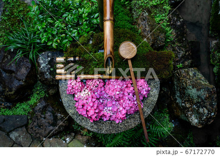 柳谷観音楊谷寺京都紫陽花花手水 67172770
