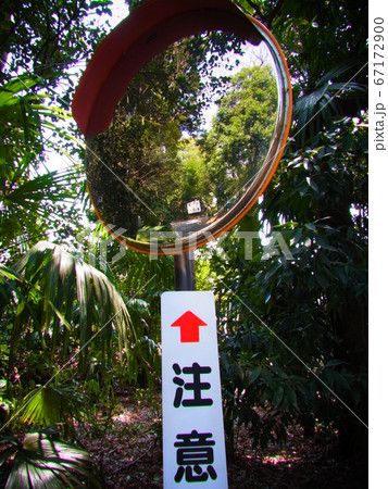 カーブミラー 67172900