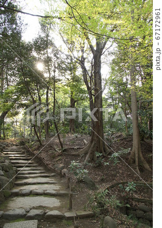 登り階段 登り階段 67172961