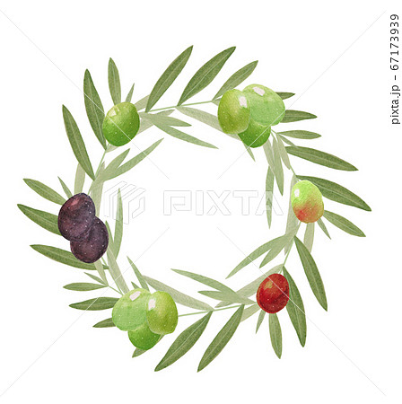 オリーブのイラスト素材