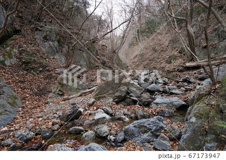 群馬、栃木県境　栃木百名山　仙人ケ岳　岩切登山口からの登山道 67173947