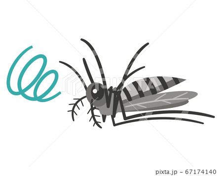 死んだ蚊のイラストレーションのイラスト素材