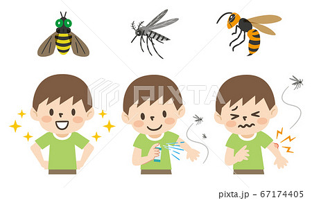 虫刺されと予防対策のイラストレーションセット 虫刺されと予防対策のイラストレーションセット 67174405