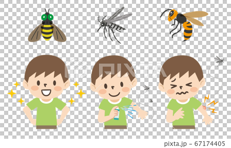 虫刺されと予防対策のイラストレーションセット 虫刺されと予防対策のイラストレーションセット 67174405