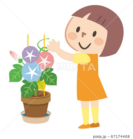 朝顔を育てる笑顔の女の子 67174408
