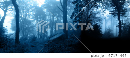 Mysterious landscape with trees and bushes in Mysterious landscape with trees and bushes in 67174445