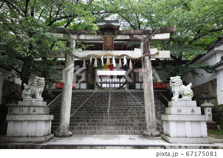 岩屋神社 67175081