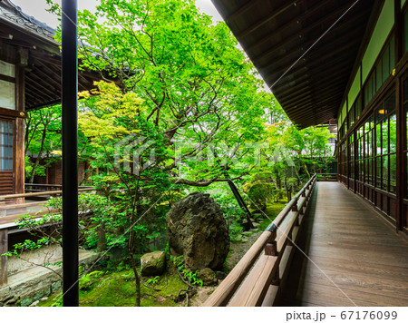京都 永観堂禅林寺 古方丈と方丈庭園 京都 永観堂禅林寺 古方丈と方丈庭園 67176099