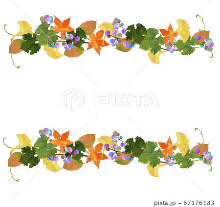 水彩の紅葉とノブドウの秋フレームのイラスト素材