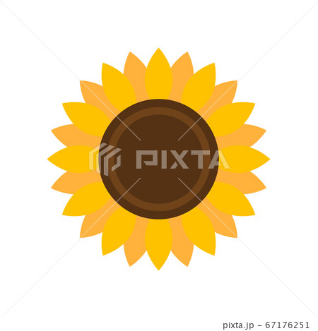 Colorful Sunflower. Flat icon. Vector illustration. Flat icon. Isolated element on white background. Great for the design of banners, decoration, logo, label, stickers, cards, textiles, packing, etc. 67176251