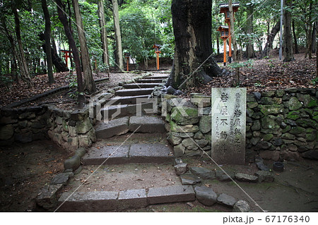 岩屋神社 岩屋神社 67176340