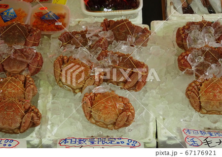 毛ガニのディスプレイ　函館朝市にて 67176921