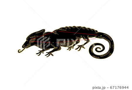 88星座影あり黒カメレオン座 88星座影あり黒カメレオン座 67176944