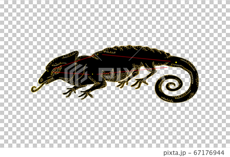 88星座影あり黒カメレオン座 88星座影あり黒カメレオン座 67176944