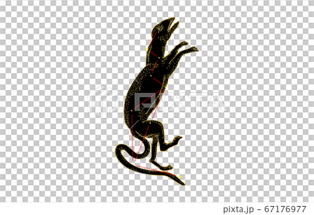 88 constellation with shadow black lizard 67176977