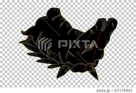 88 constellation with shadow 88 constellation with shadow 67176981